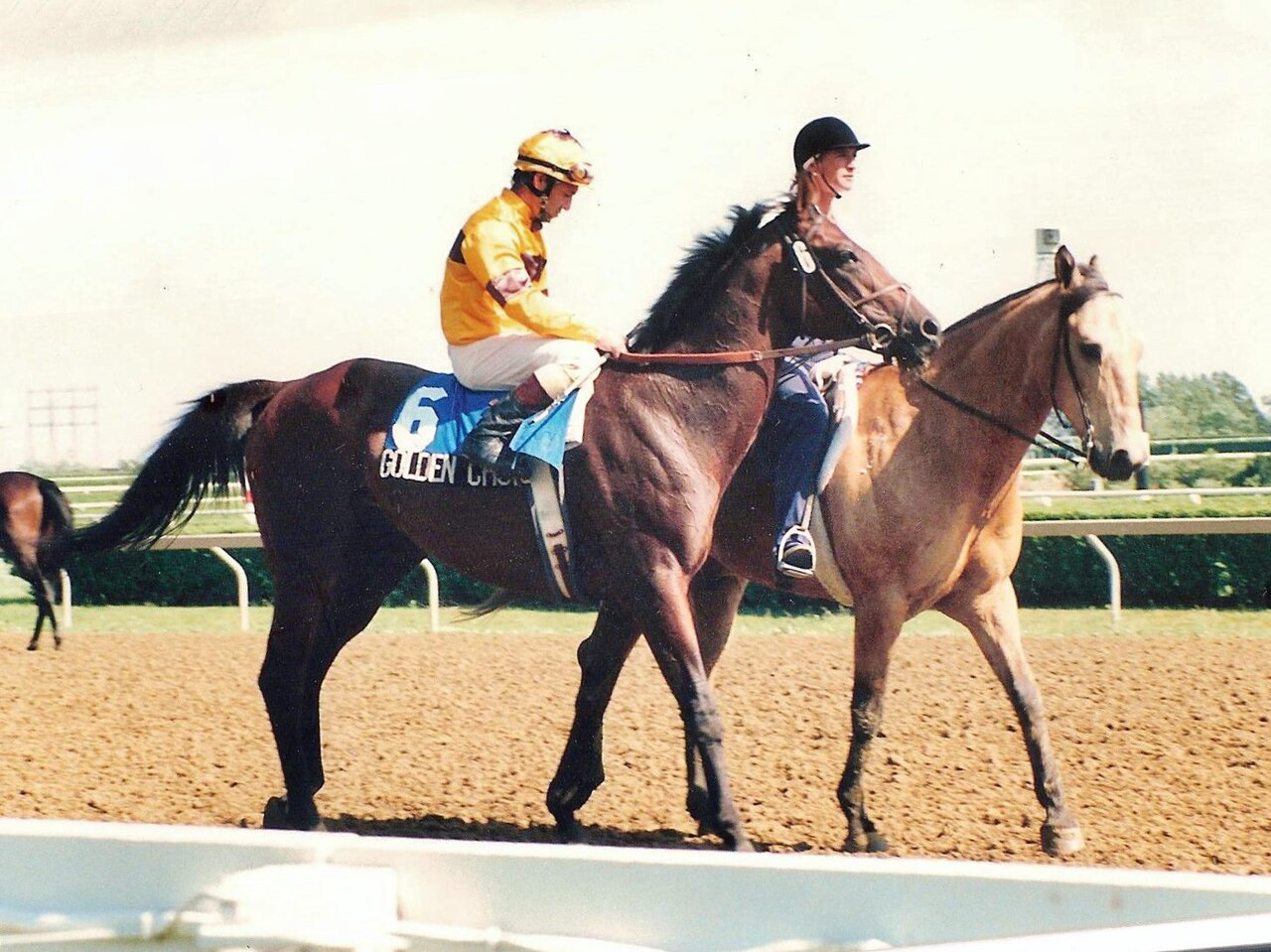 FairPlay Horse Racing Finish: horses driving to the line past the winning post in front of a grandstand